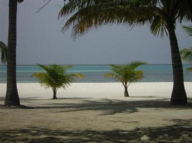 CLUBMED馬爾代夫卡尼島6天4晚自由行單訂房(不含機(jī)票)