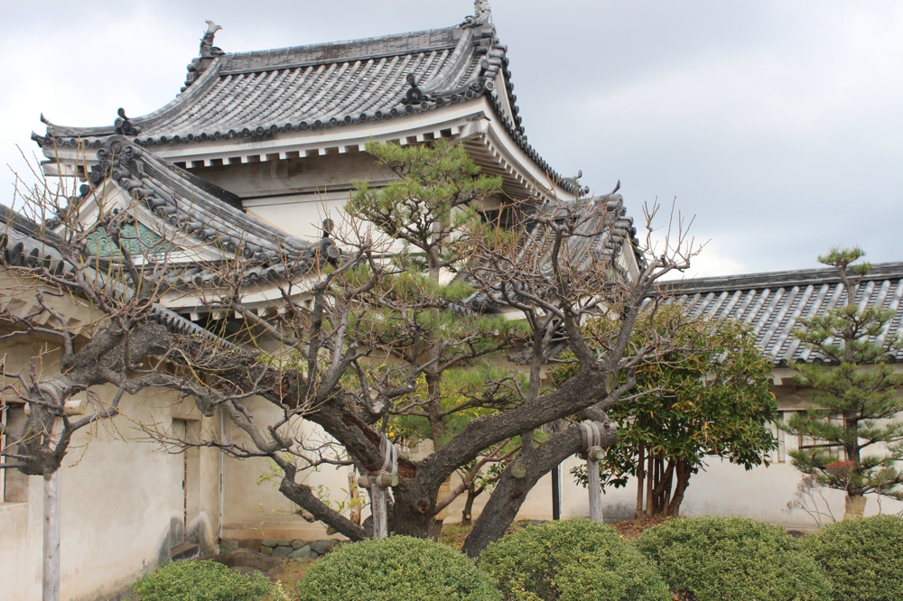 日本美圖欣賞-攝影康輝小蔡踩點(diǎn)之旅