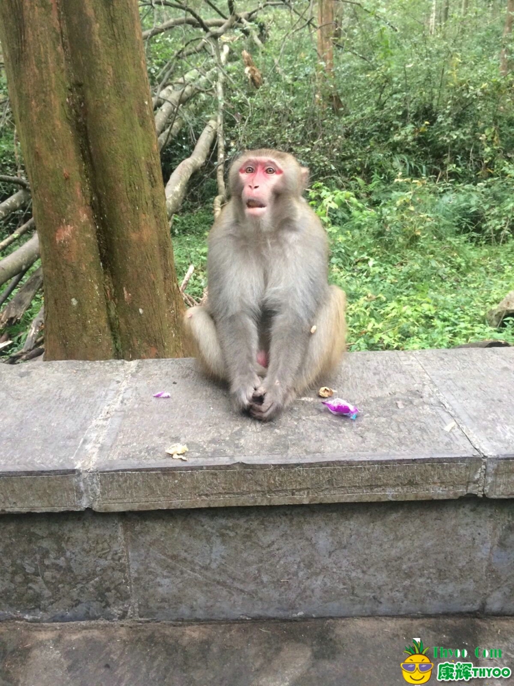 張家界、鳳凰古城旅游圖