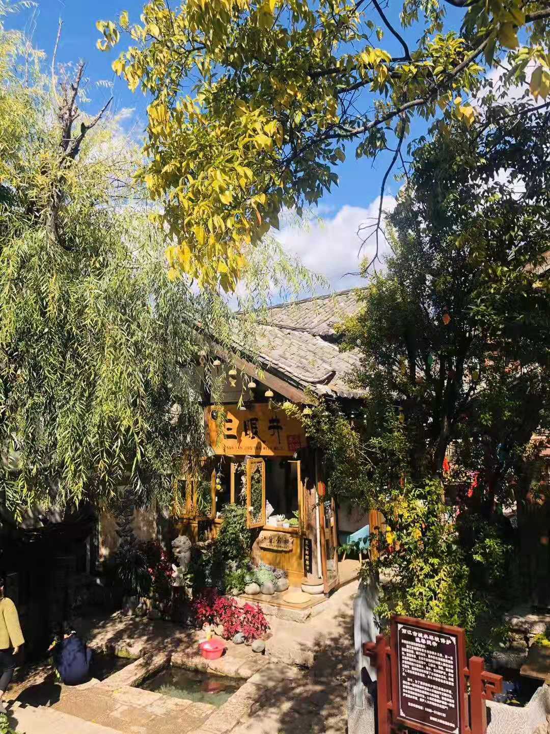 麗江古城風景圖-攝影-廣州康輝楊曉勁