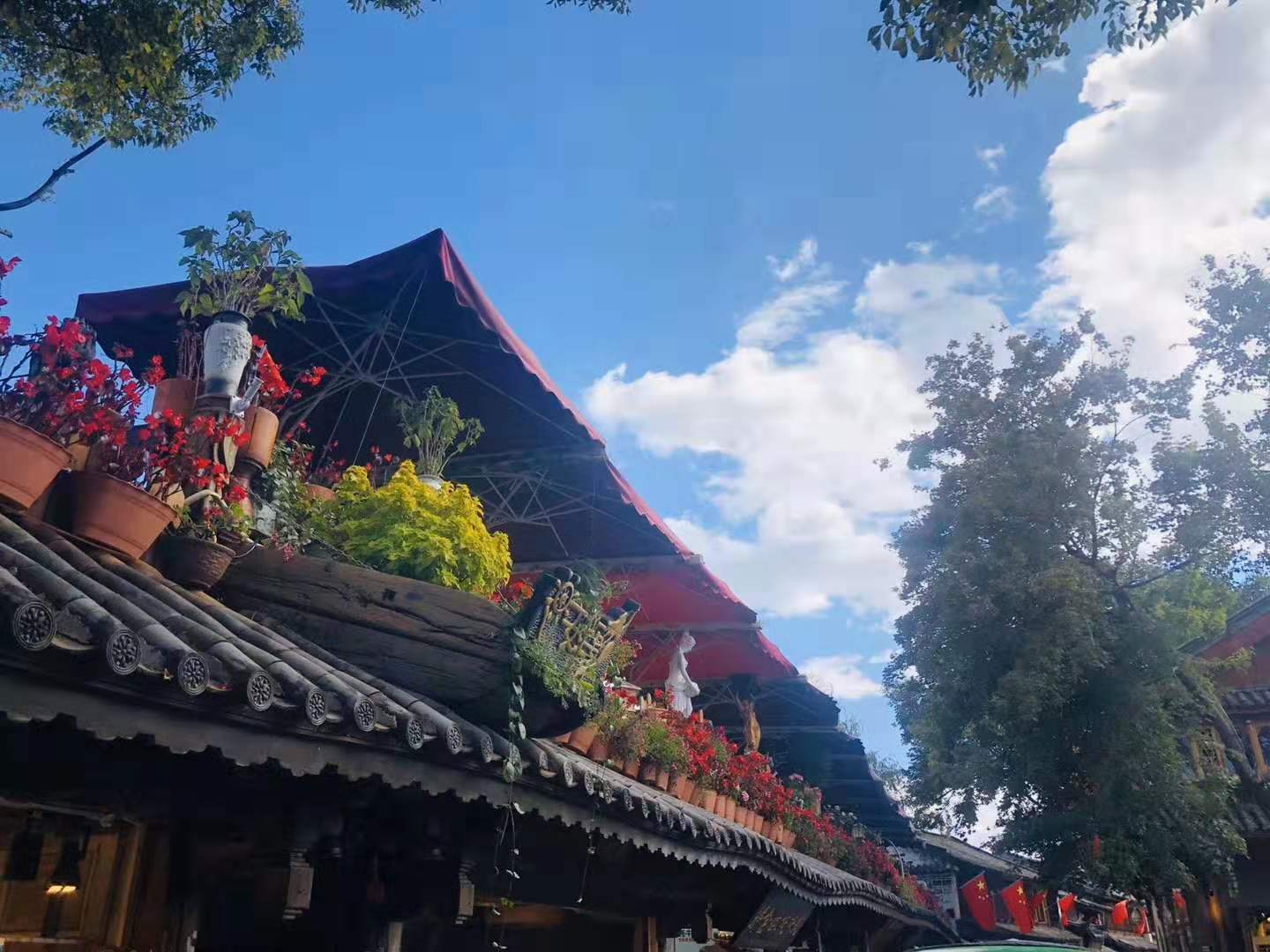 麗江古城風(fēng)景圖二-攝影廣州康輝yxj