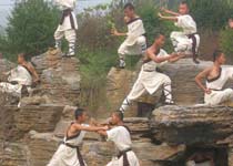 習武的少林弟子